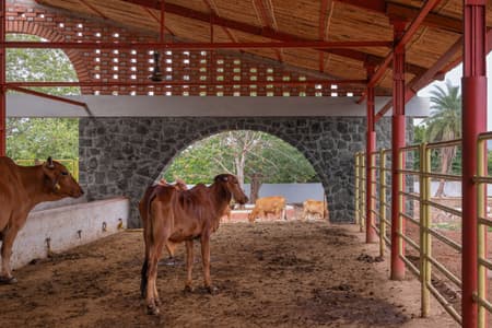 Gaughar Animal Husbandry
